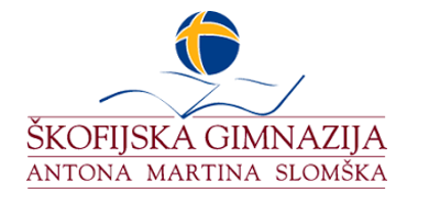 Škofijska gimnazija Antona Martina Slomška